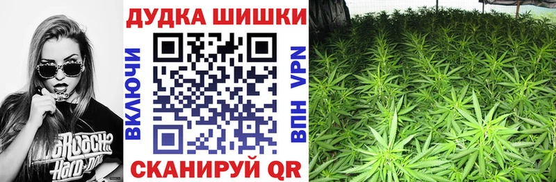 Виды наркотиков купить Стародуб COCAIN  Галлюциногенные грибы  Кетамин  Гашиш 