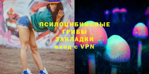 не бодяженный Алексин