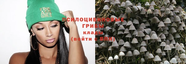 не бодяженный Алексин